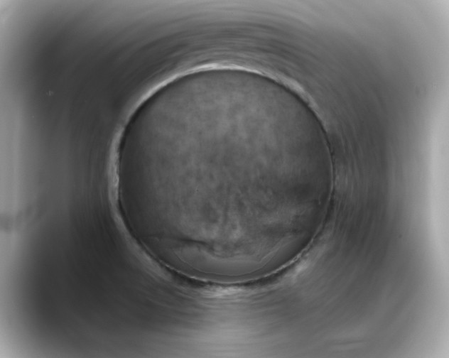 X0000088431522200706051221