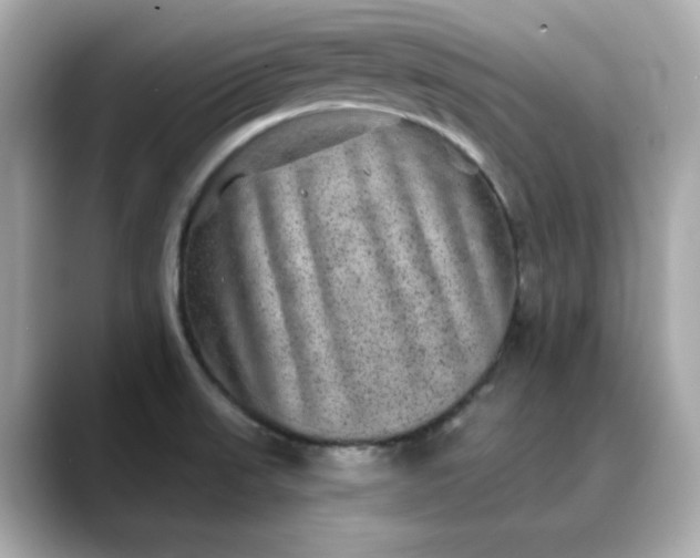 X0000088431523200706051221