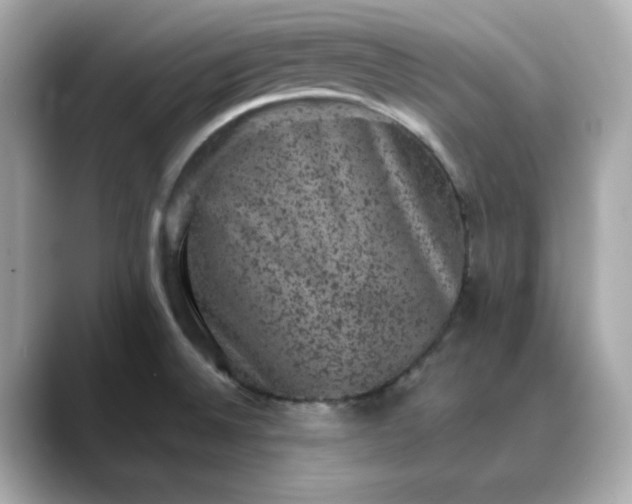 X0000088431524200706051221