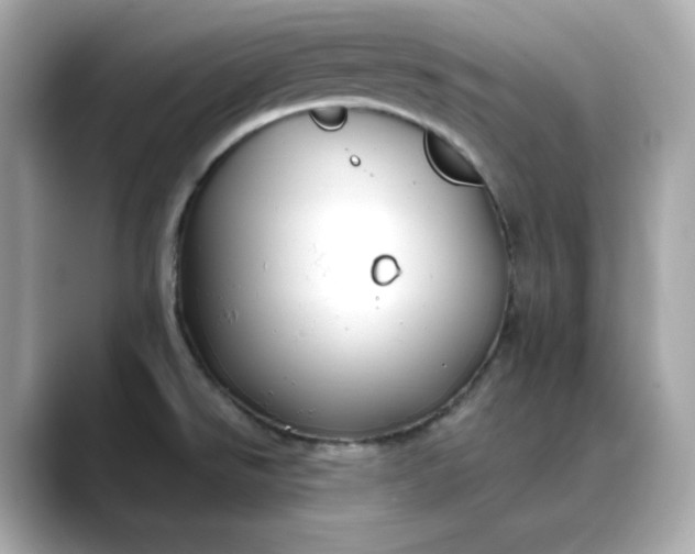 X0000088431526200706051221