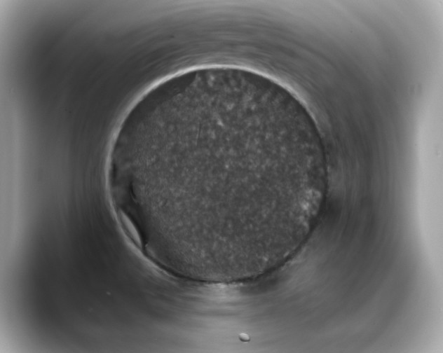 X0000088431527200706051221