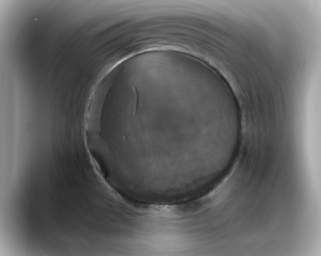 X0000088431529200706051221