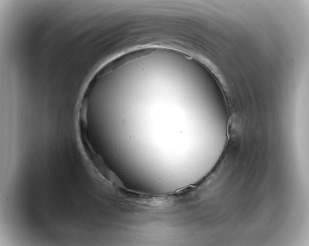 X0000088431530200706051221