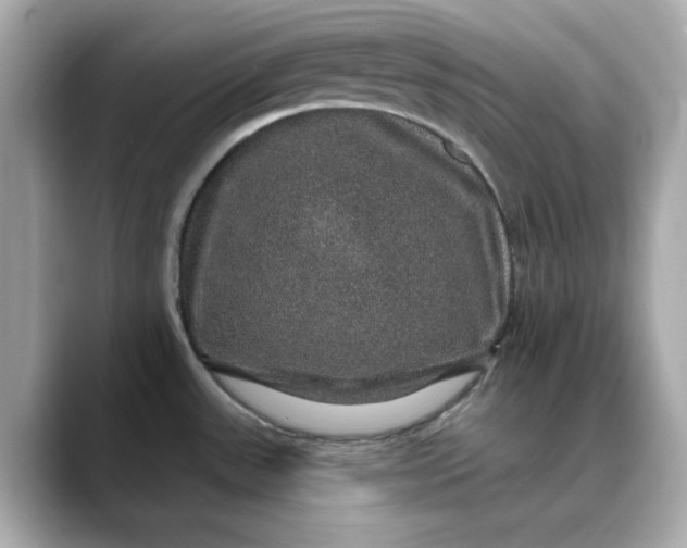 X0000088431531200706051221