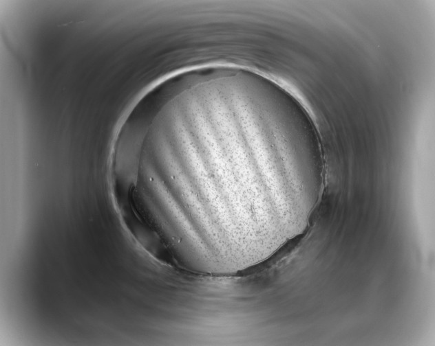 X0000088431532200706051221