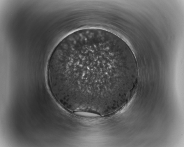 X0000088431533200706051221