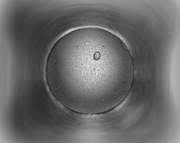 X0000088431534200706051221