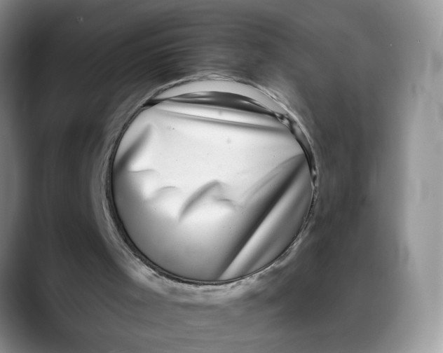 X0000088430001200706121459