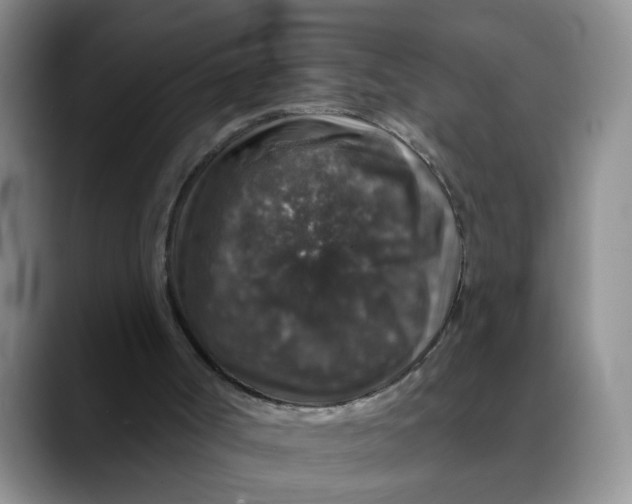 X0000088430002200706121459