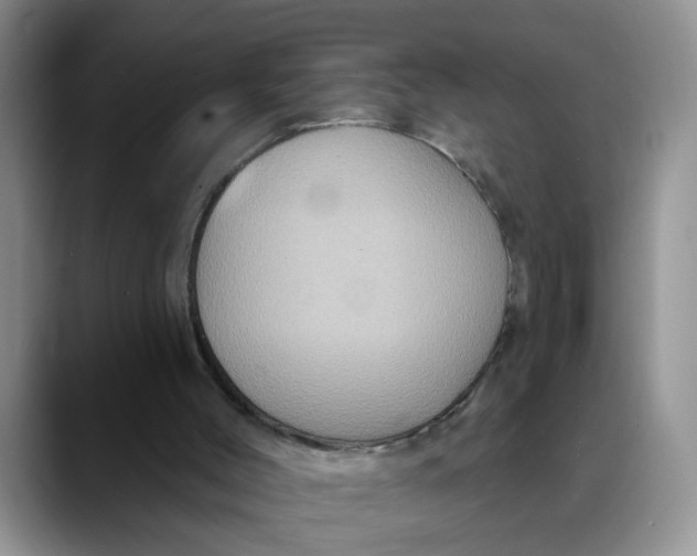 X0000088430004200706121459