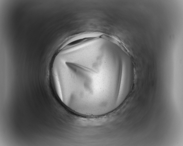 X0000088430005200706121459