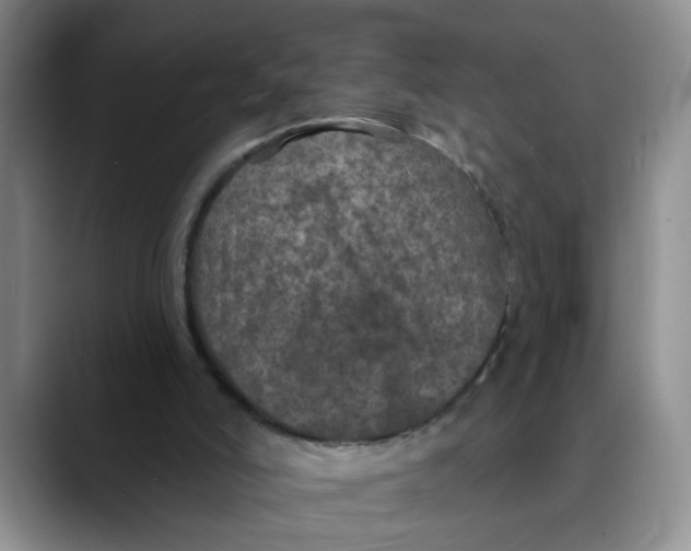 X0000088430006200706121459