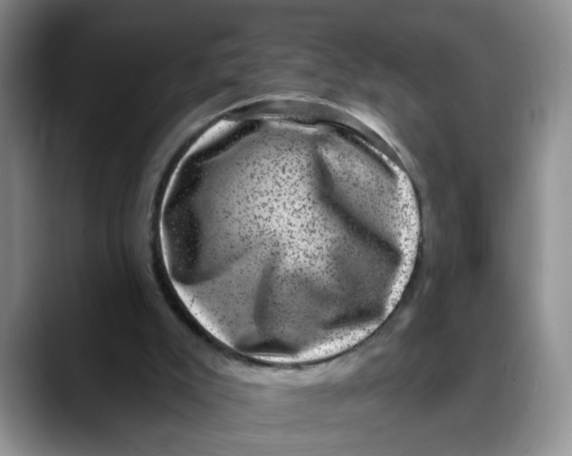 X0000088430007200706121459