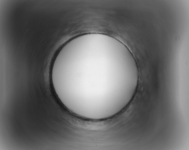 X0000088430008200706121459