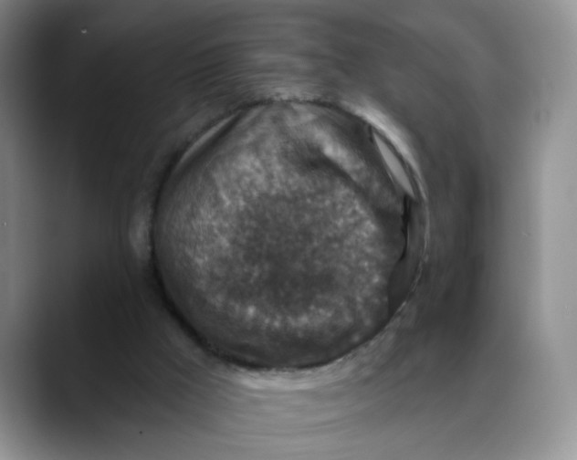 X0000088430009200706121459