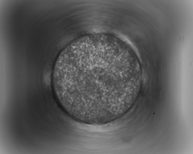 X0000088430010200706121459