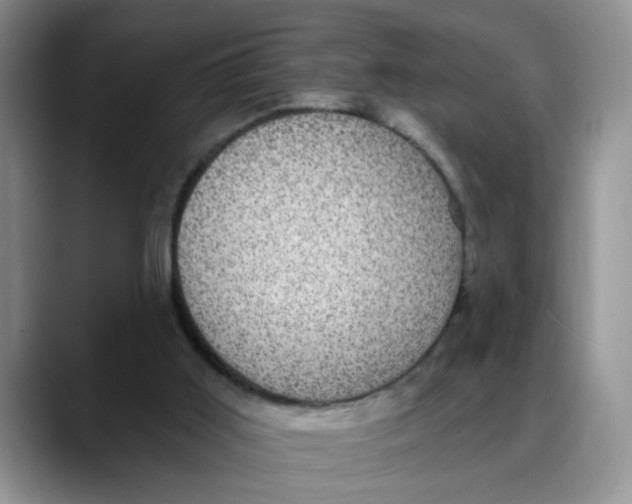 X0000088430011200706121459
