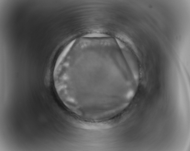 X0000088430012200706121459