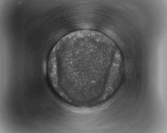 X0000088430014200706121459