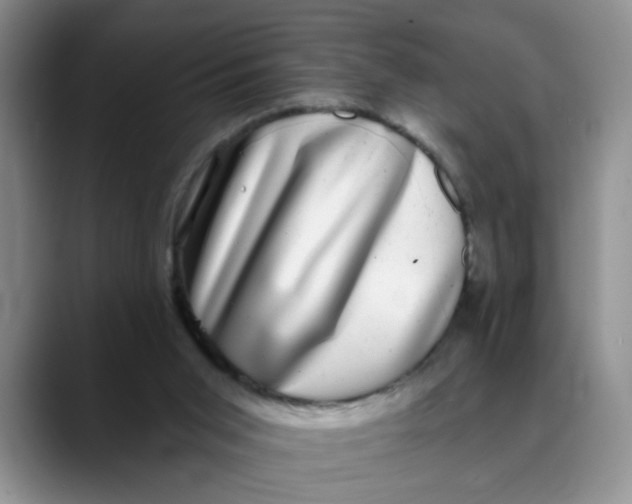 X0000088430015200706121459