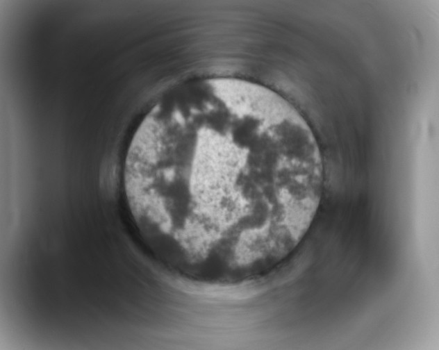 X0000088430016200706121459