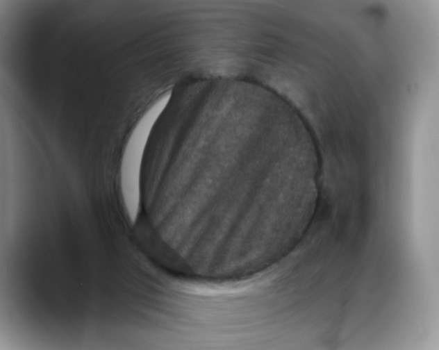 X0000088430017200706121459
