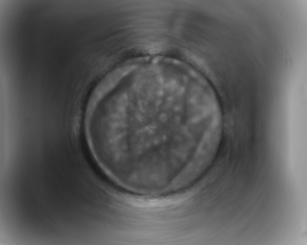 X0000088430018200706121459