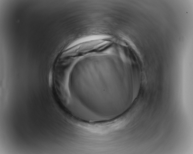 X0000088430019200706121459