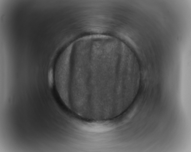 X0000088430020200706121459