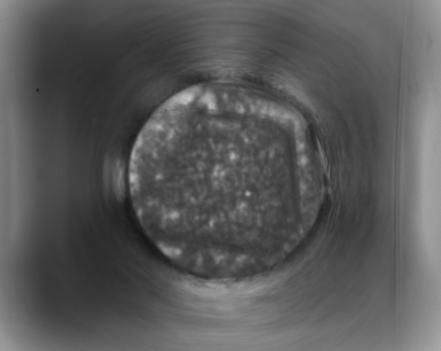 X0000088430022200706121459
