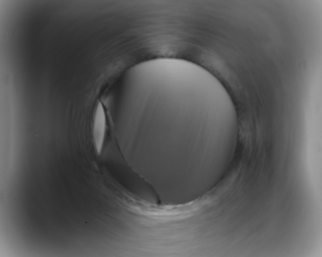 X0000088430023200706121459