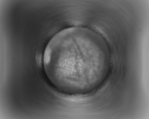 X0000088430024200706121459
