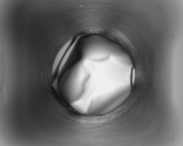 X0000088430025200706121459