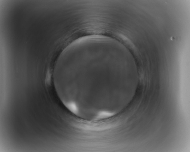 X0000088430026200706121459