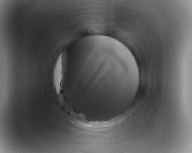 X0000088430027200706121459