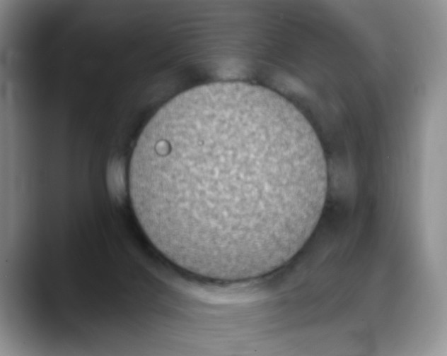 X0000088430028200706121459