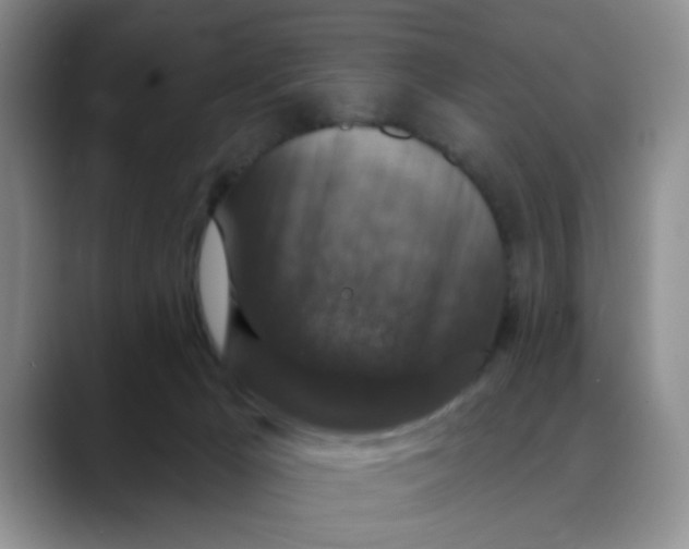 X0000088430029200706121459