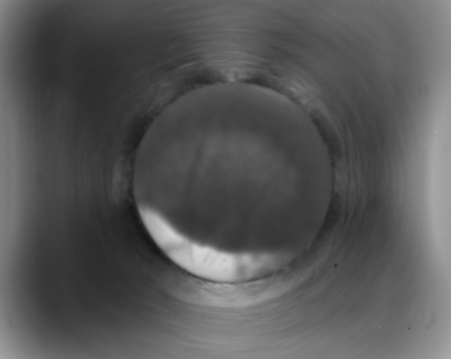 X0000088430030200706121459