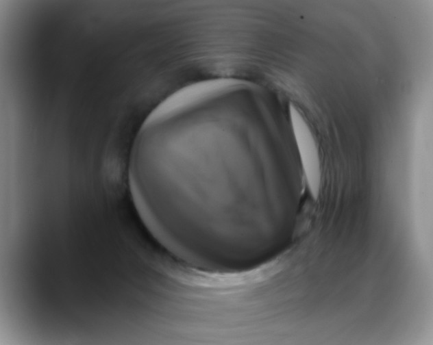 X0000088430031200706121459