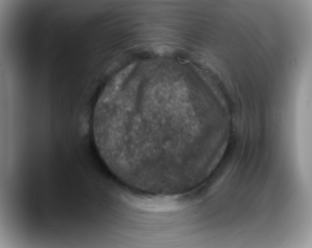 X0000088430032200706121459