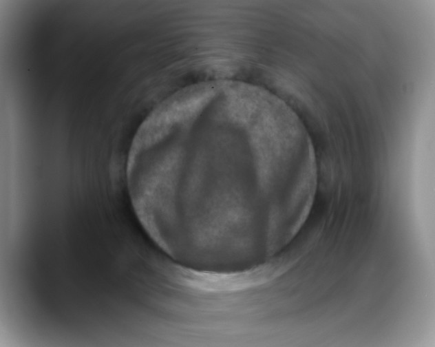 X0000088430034200706121459