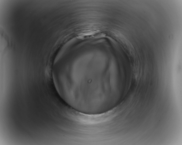 X0000088430035200706121458