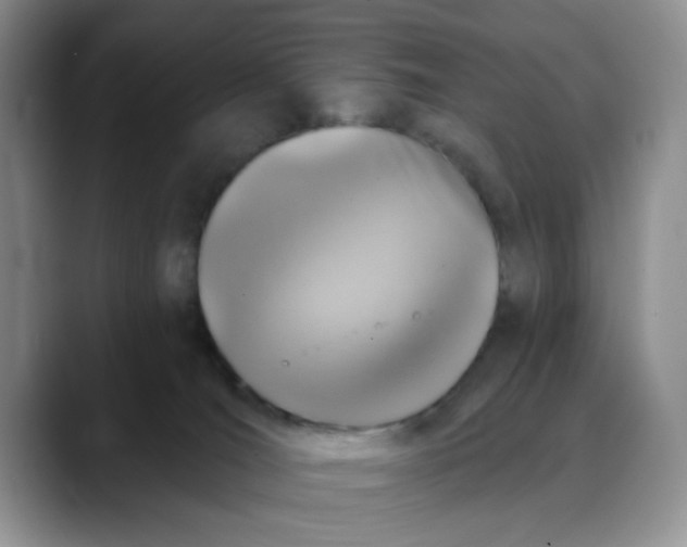 X0000088430036200706121458
