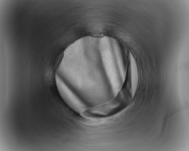 X0000088430037200706121458