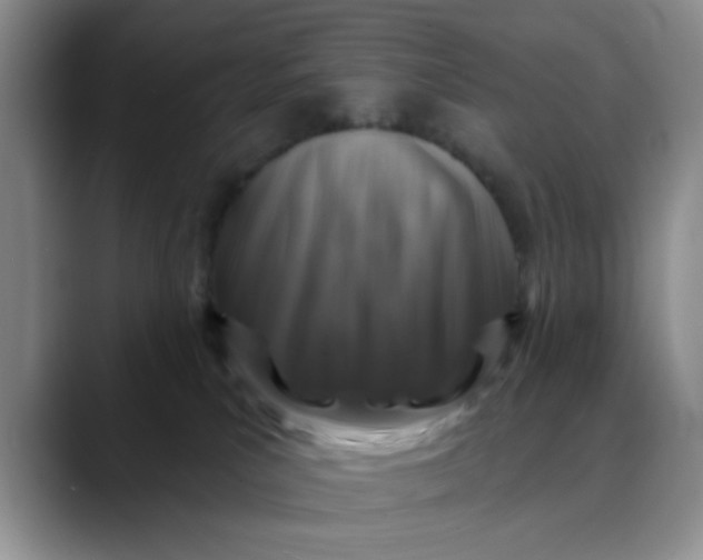 X0000088430039200706121458