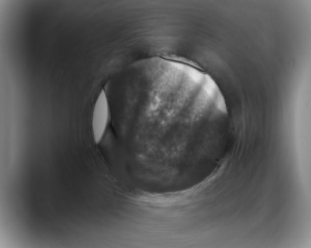 X0000088430041200706121458