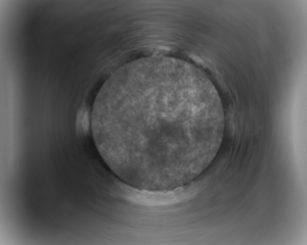 X0000088430042200706121458