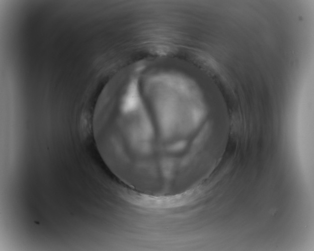 X0000088430043200706121458