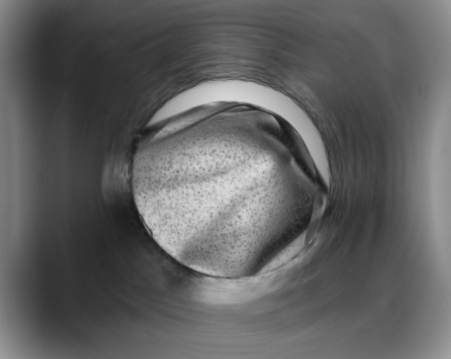 X0000088430045200706121458