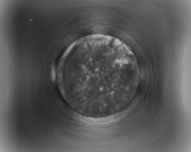 X0000088430046200706121458